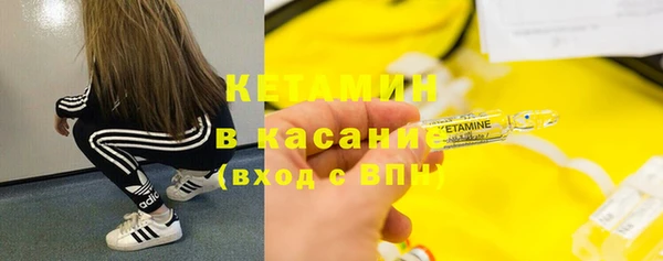 прущие грибы Абаза