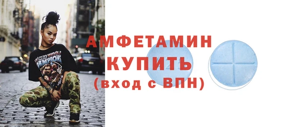прущие грибы Абаза