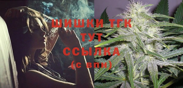 прущие грибы Абаза