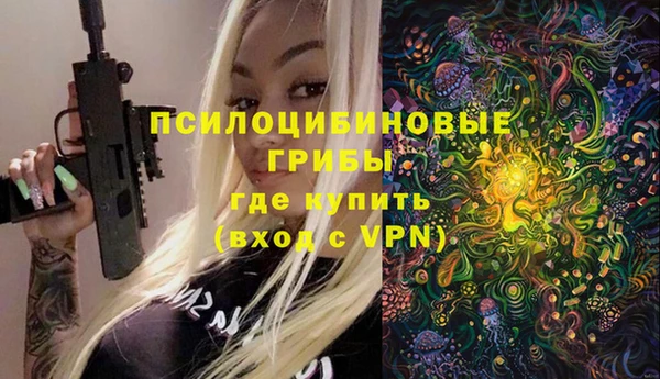 прущие грибы Абаза