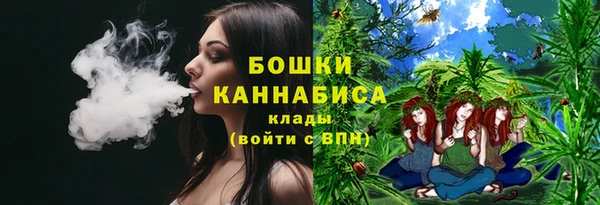 прущие грибы Абаза