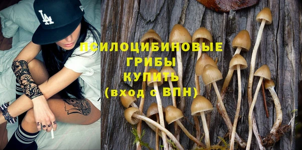 apvp Абдулино