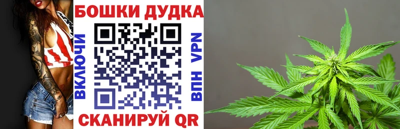 купить наркотики цена  darknet состав  Бошки марихуана ГИДРОПОН  Смоленск 